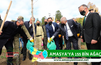 Amasya'ya 155 Bin Ağaç