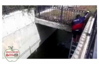 Su Kanalına Düşen Köpekler Kurtarıldı